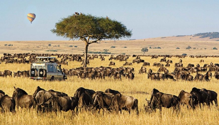kenya safari ferie masai mara